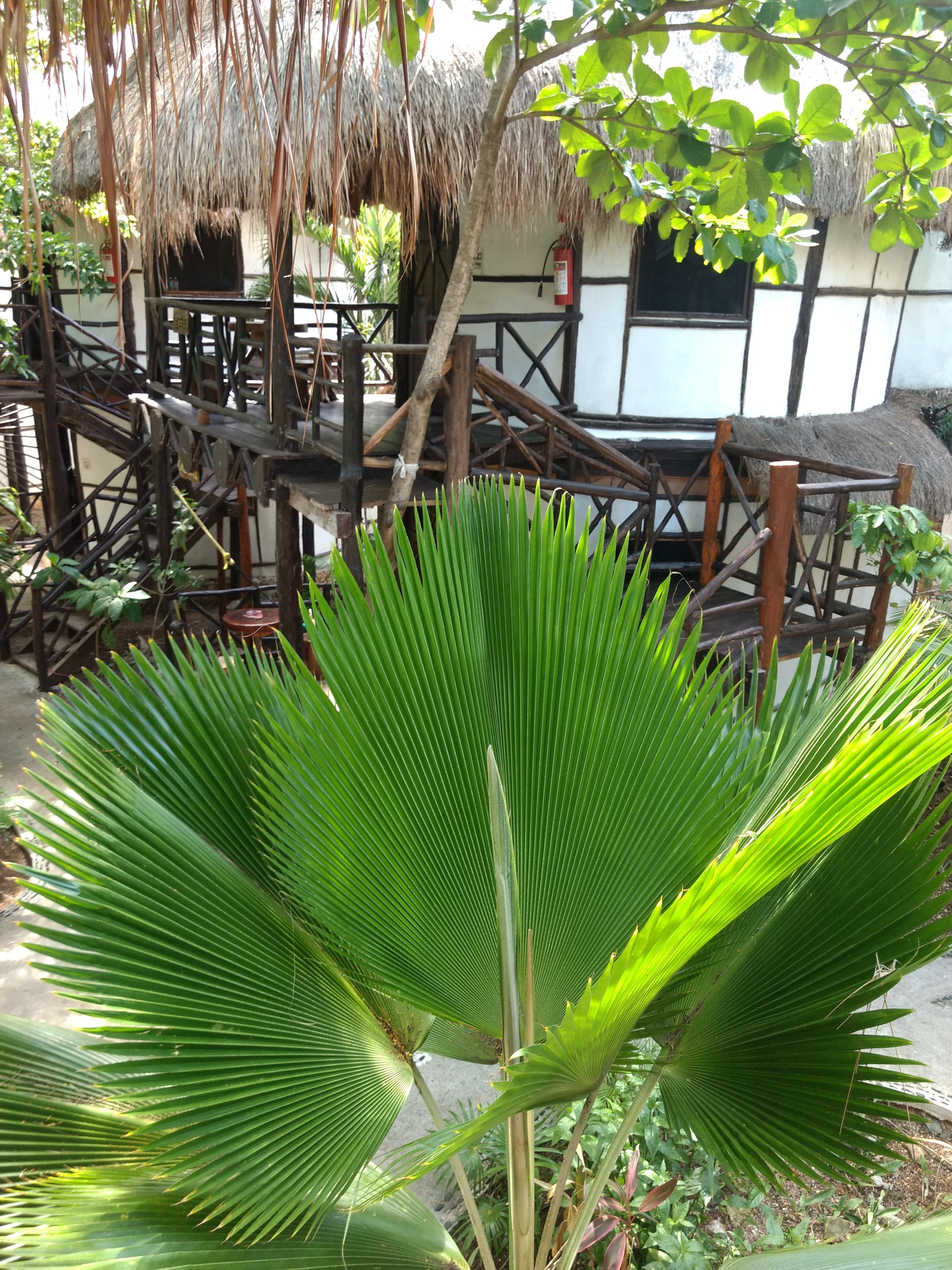 Green Tulum Cabanas & Gardens Exteriér fotografie